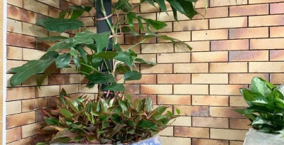 So sánh vật liệu chịu lửa, bảo ôn và cách nhiệt